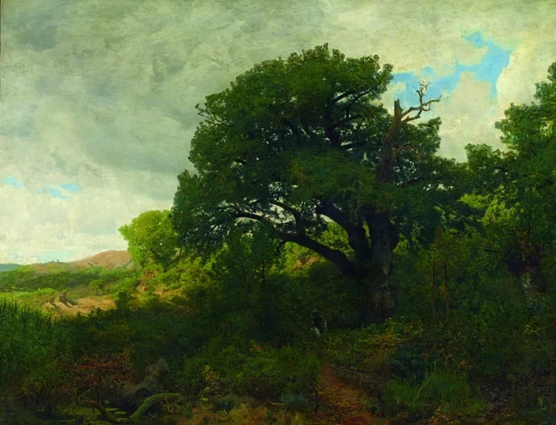La quercia, 1845 - Accademia Carrara, Bergamo